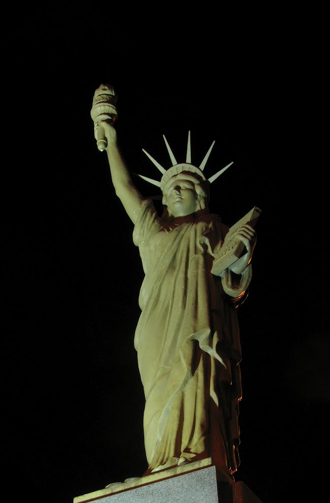 "Statue of Liberty" ;-) at night