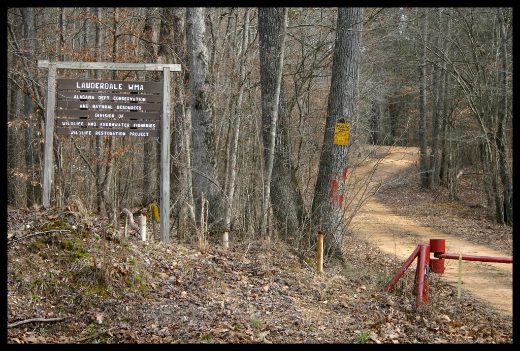 Lauderdale Wildlife Management Area