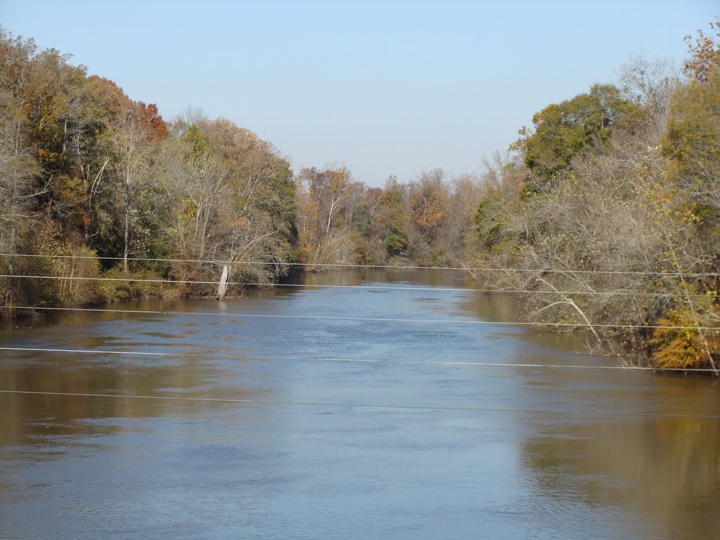Covington