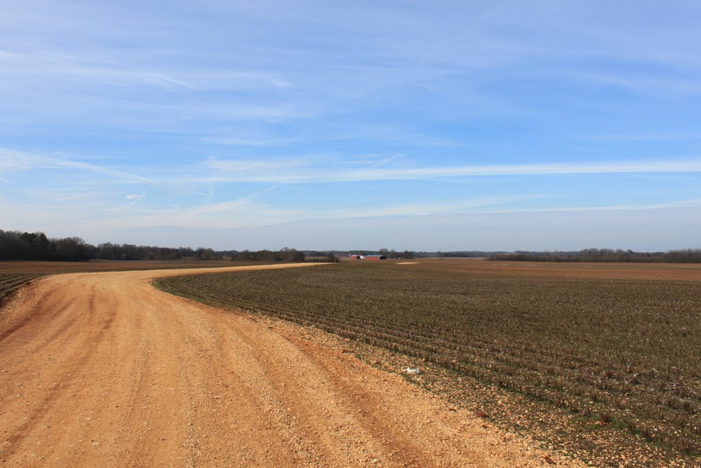 A Country Road