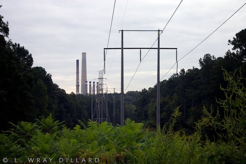 Colbert Steam Plant Smoke Stacks