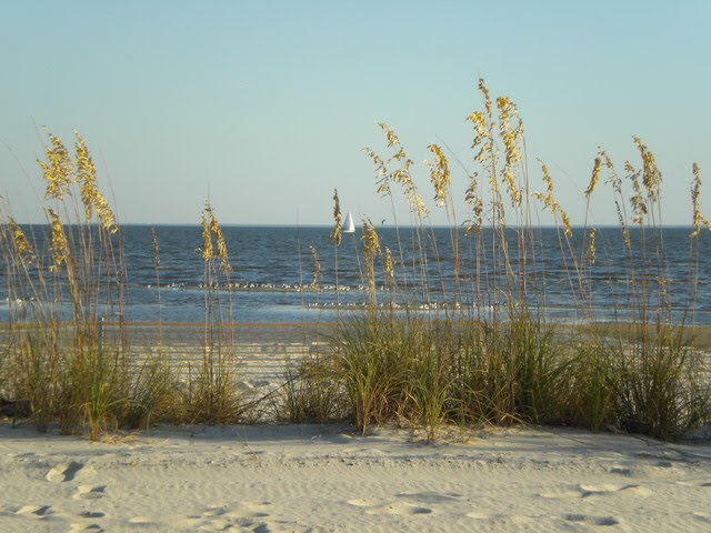 View from US HWY 90 Mississippi Gulf Coast