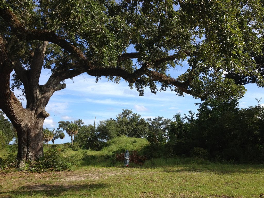 Tiny private memorial near Gulfport MS on the site of a home washed away by  Hurricane Katrina