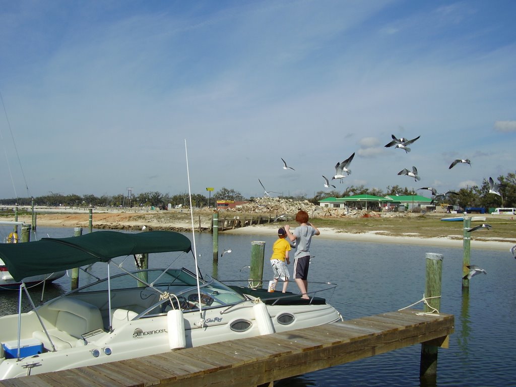 Breakfast for seagulls @ Long Beach MS Harbor