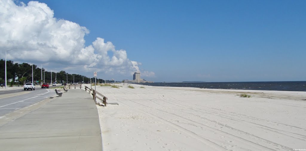 On the shore of Gulf of Mexico in Alabama