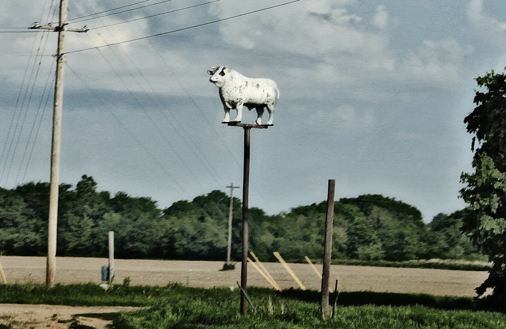 Ol Bessie