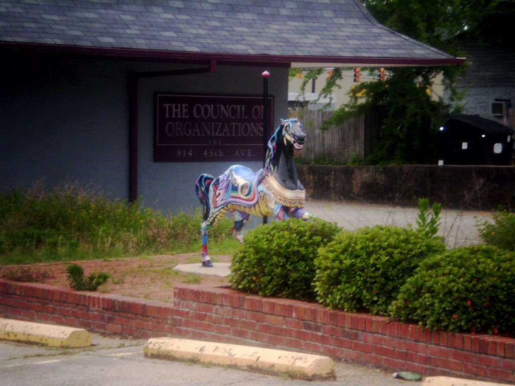 Council of Organizations Meridian MS