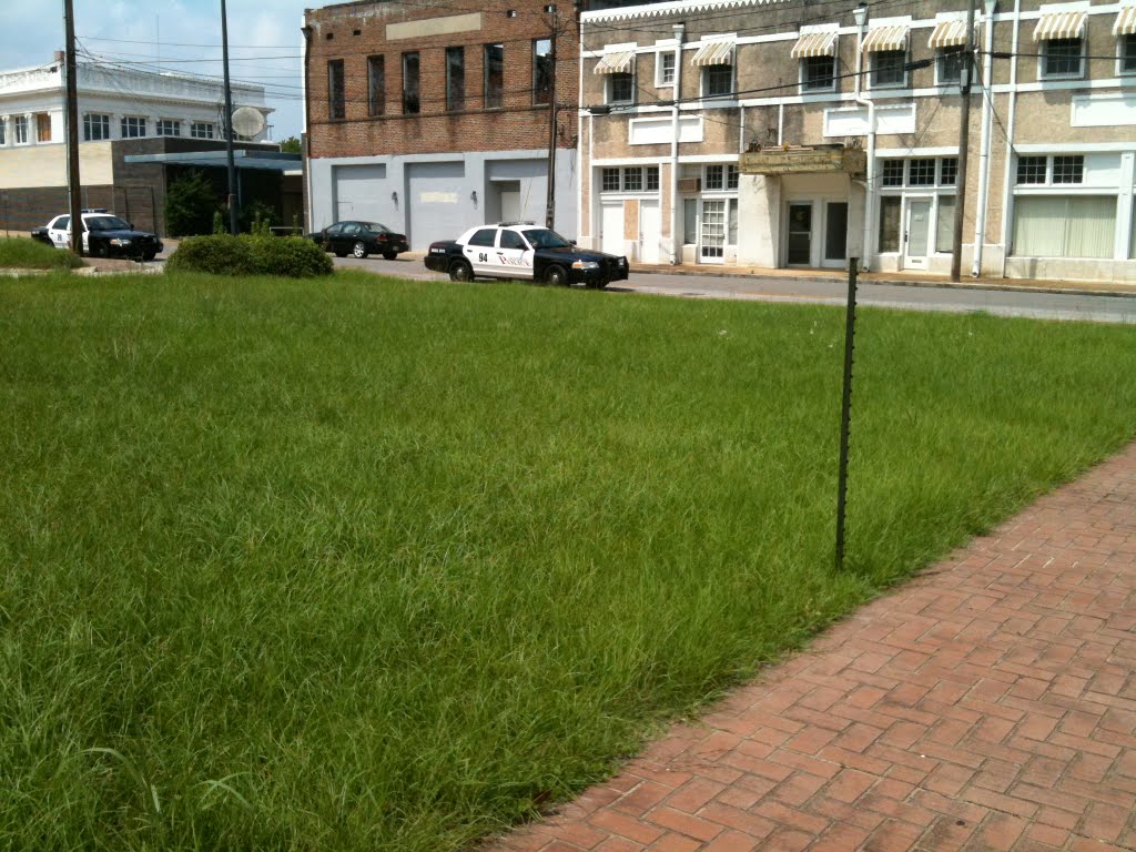 Needs mowing