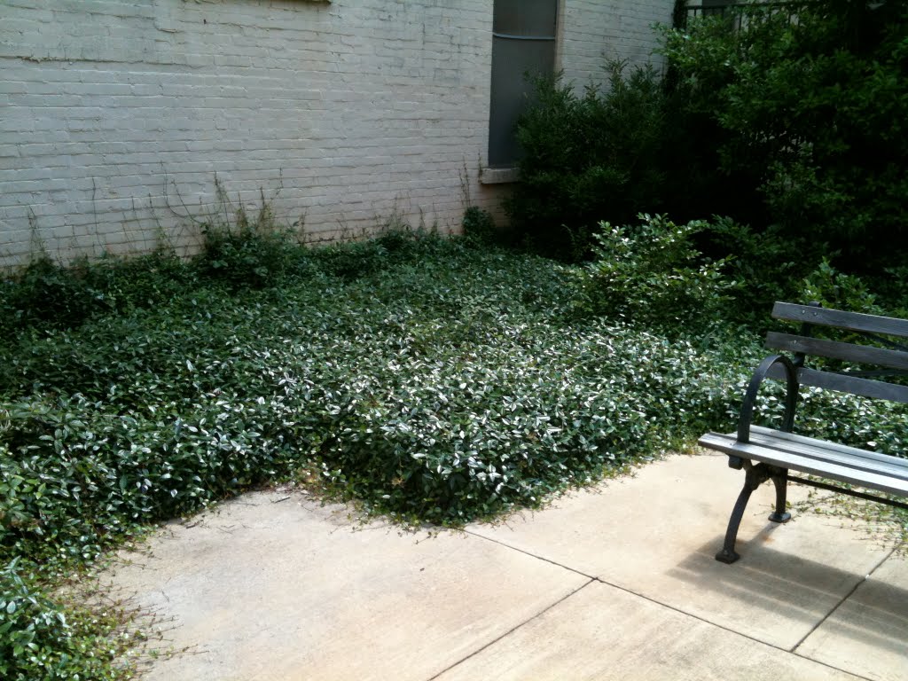 maintainance grounds