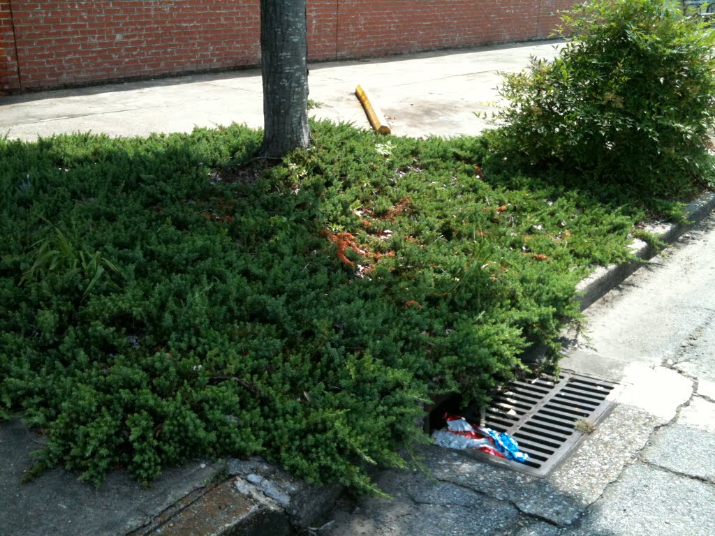 gutters