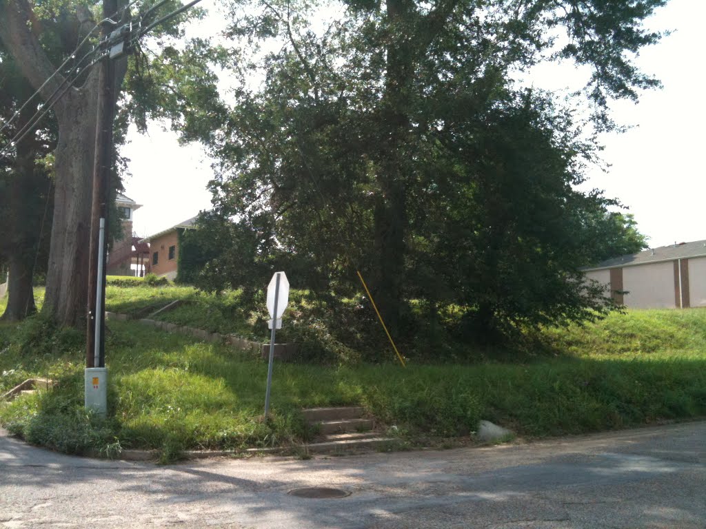 lot needs cutting