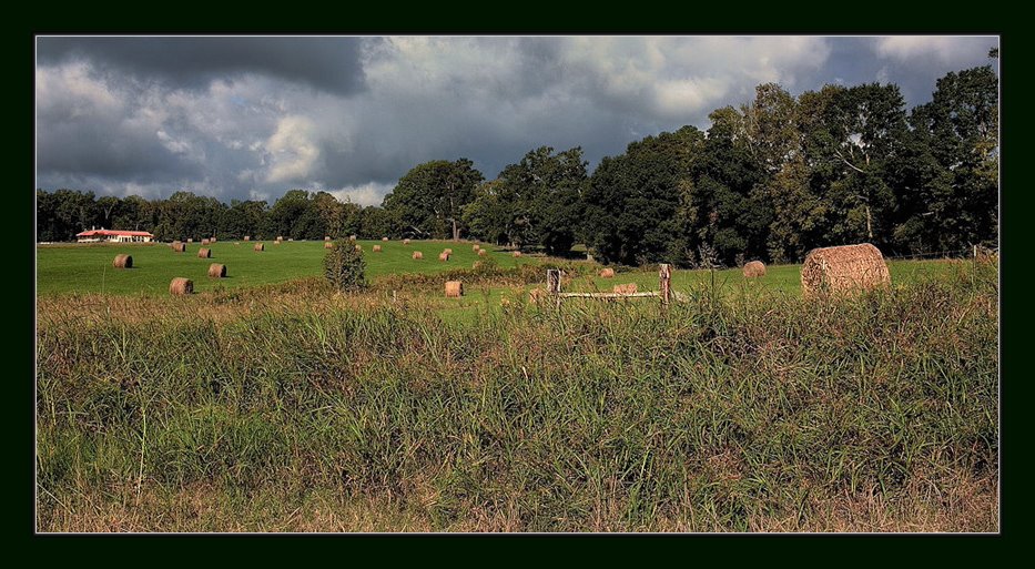 Natchez, Mississippi, 2009.