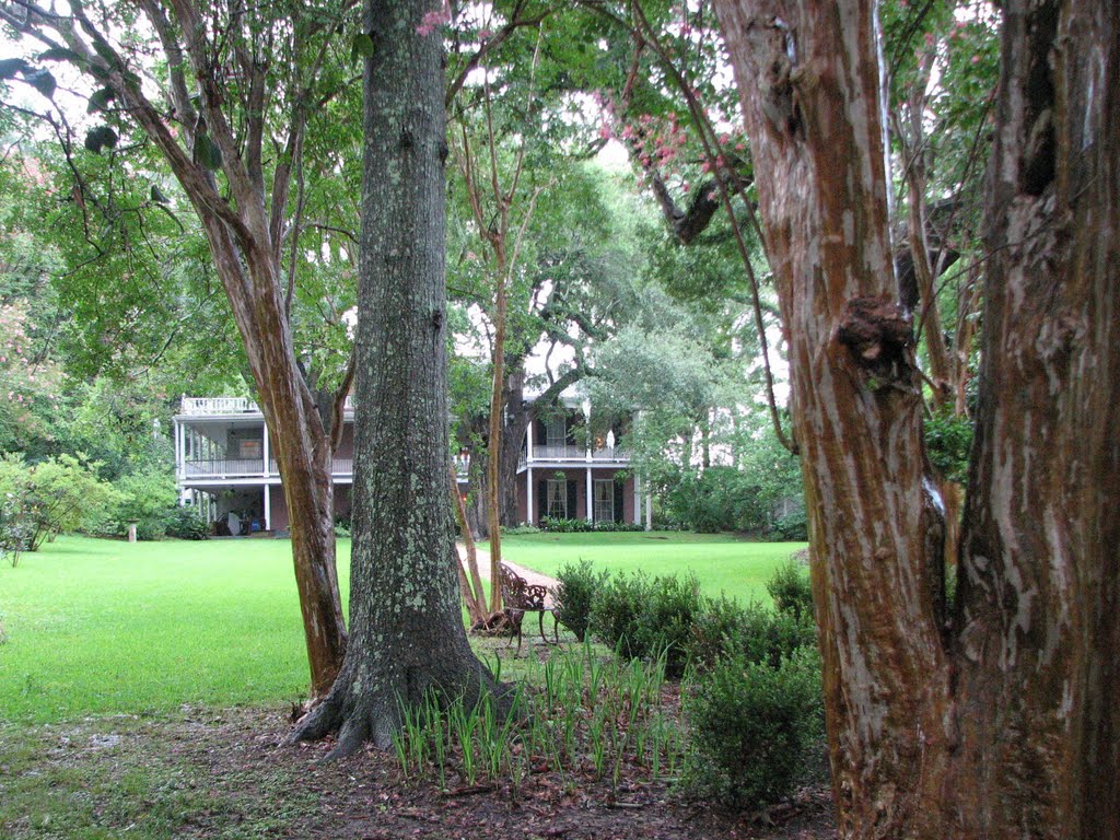 The Elms Bed & Breakfast - With Ghosts Floating in the trees - Natchez, Mississippi