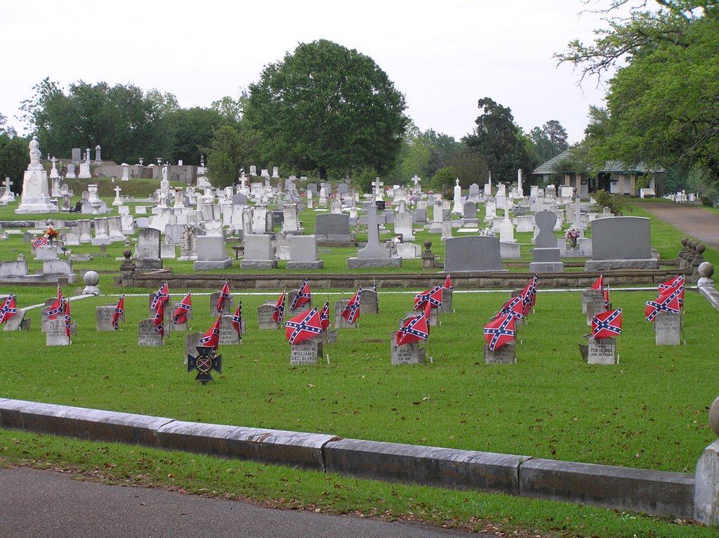 Cemetery in Natchez - April