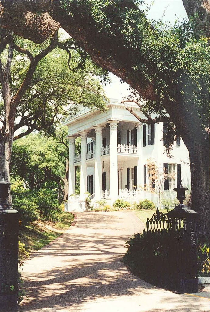 1851 "Stanton Hall" "Belfast" Natchez Ms, scanned 35mm (8-9-2000)