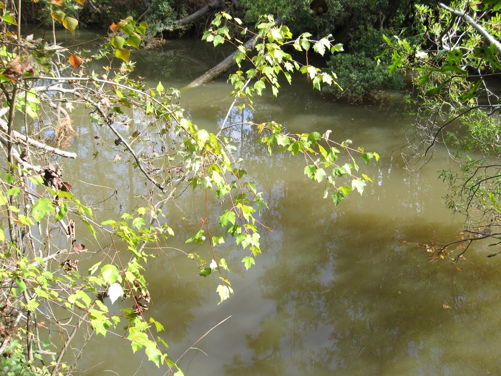 Turkey Creek