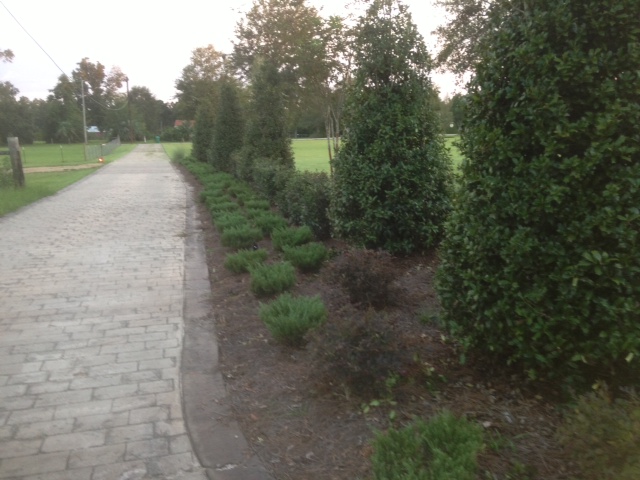 Landscapers Gulfport MS