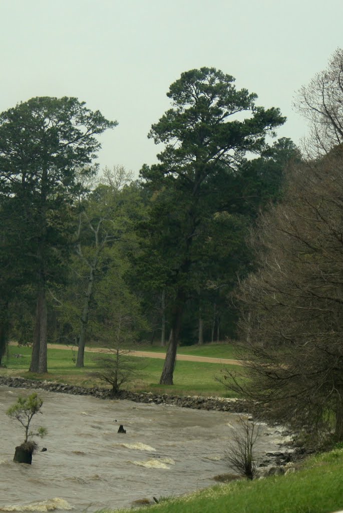 Our Trip Down The Natchez Trace In Mississippi