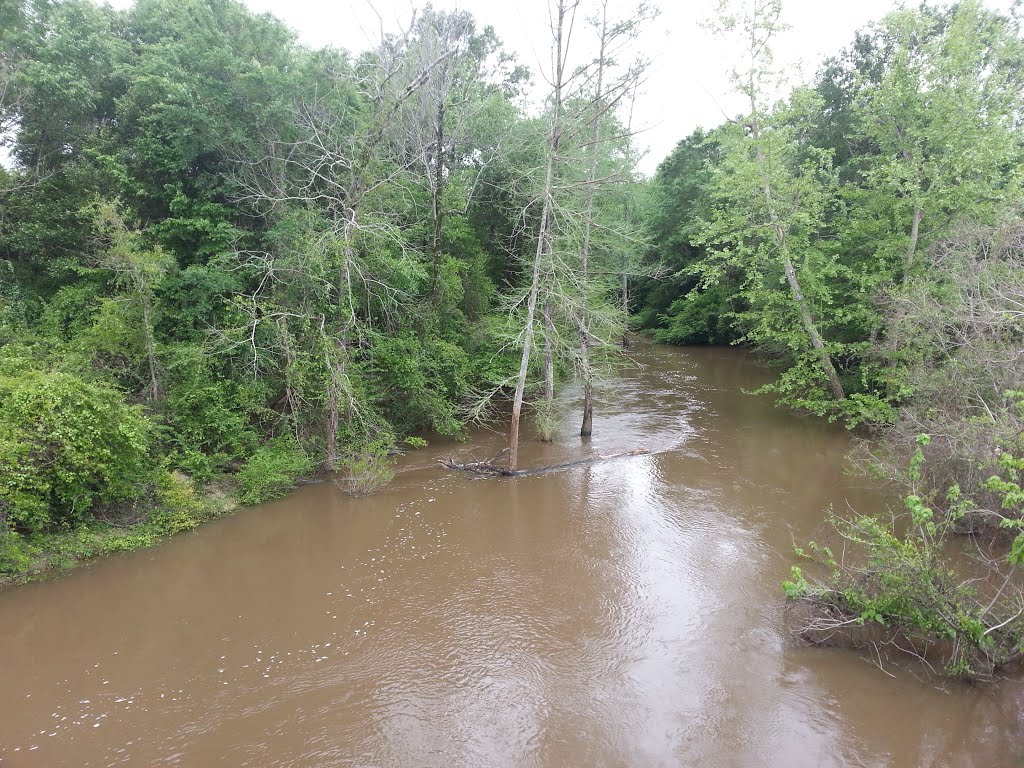 Tallahala Creek en crue