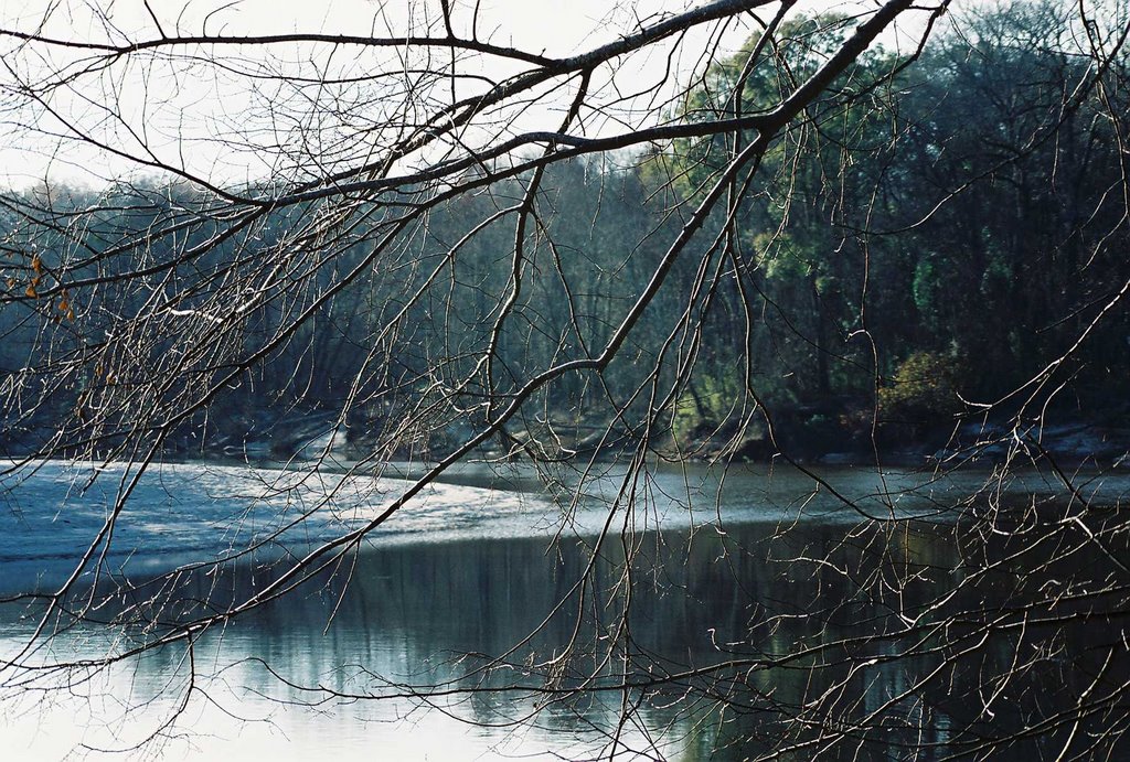 Pearl River near Mayes Lake