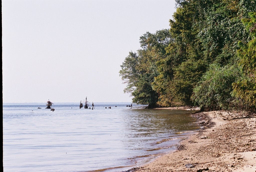 Barnett Reservoir near Natchez Trace