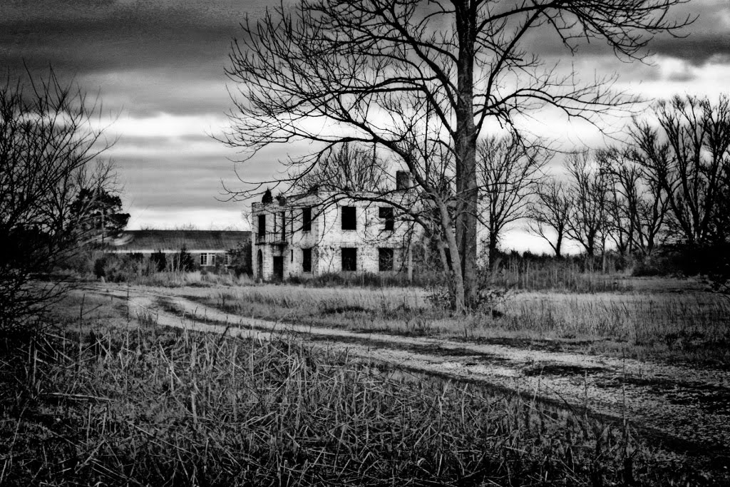 Okolona College Ruins - Built 1902