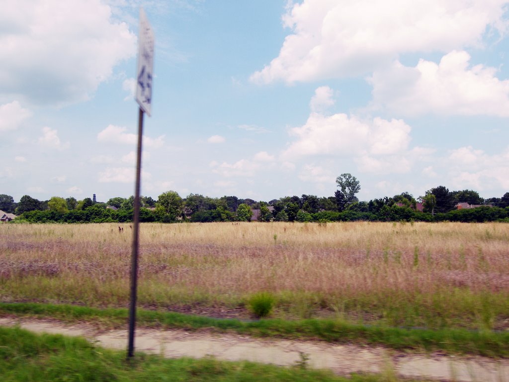 Summer Colors - Open field on hot day