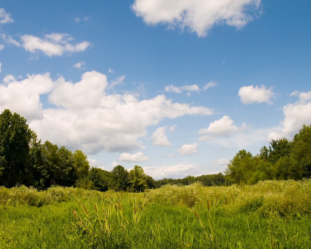 Nonconnah Greenbelt Park