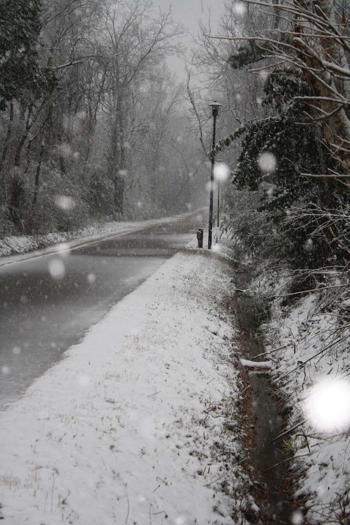 Hattiesburg: Longleaf Trace: Snow, January 2010