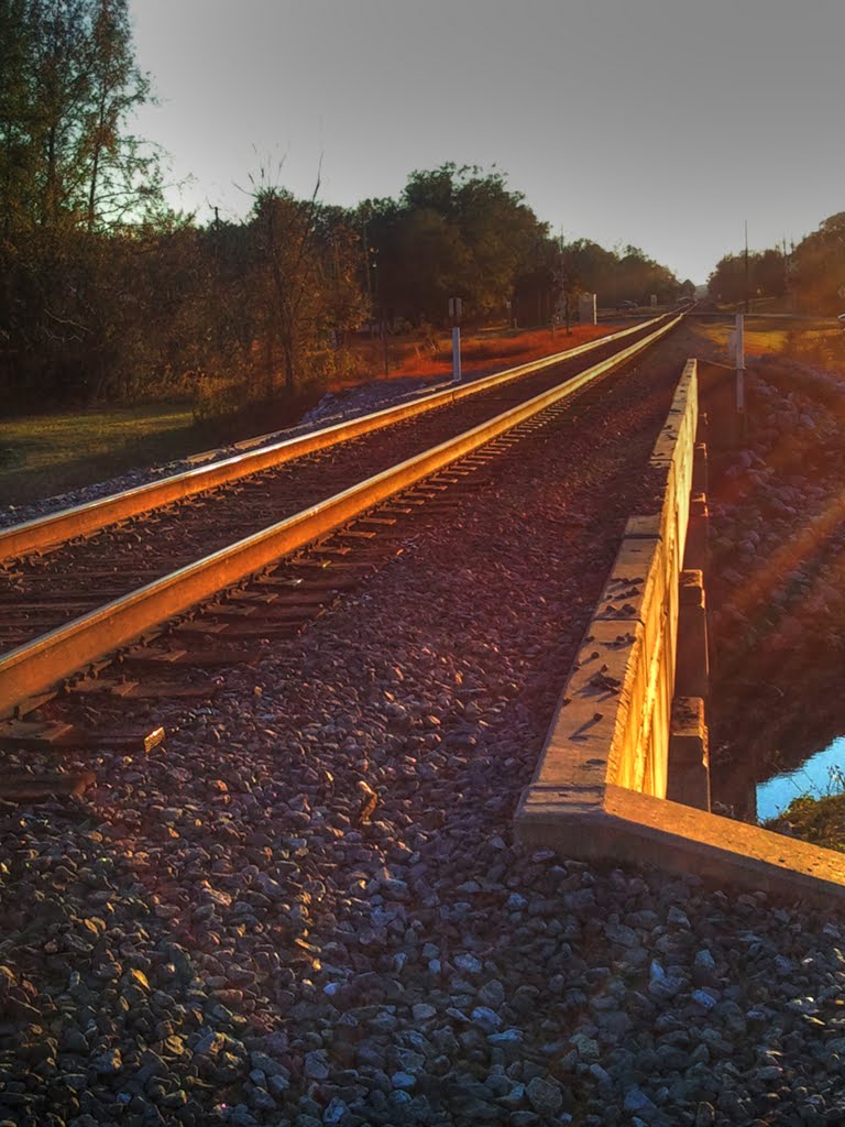 Single track to New Orleans