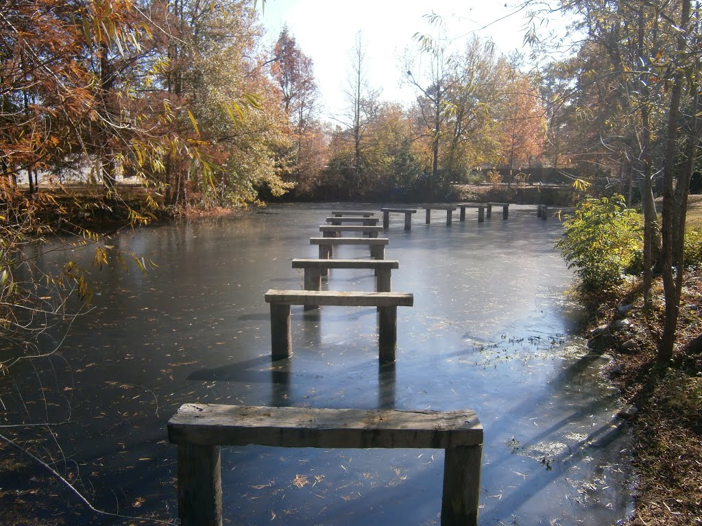 Hattiesburg Zoo