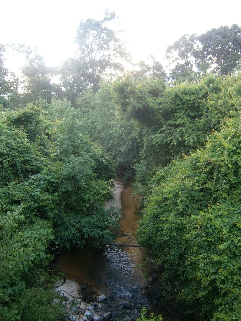 Greens Creek