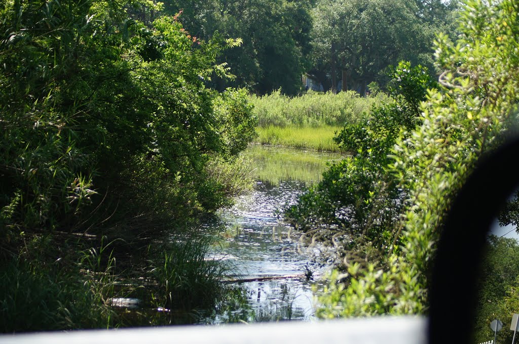 WETLANDS OF PASCAGOULA (DONOT DISTURB)