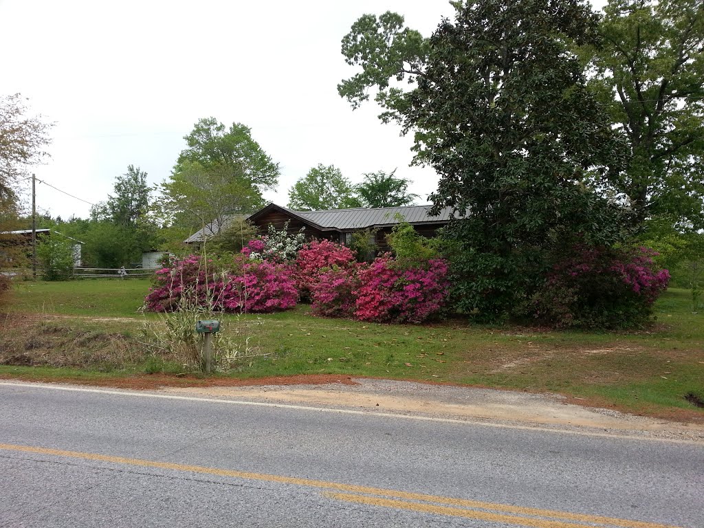 Quitman