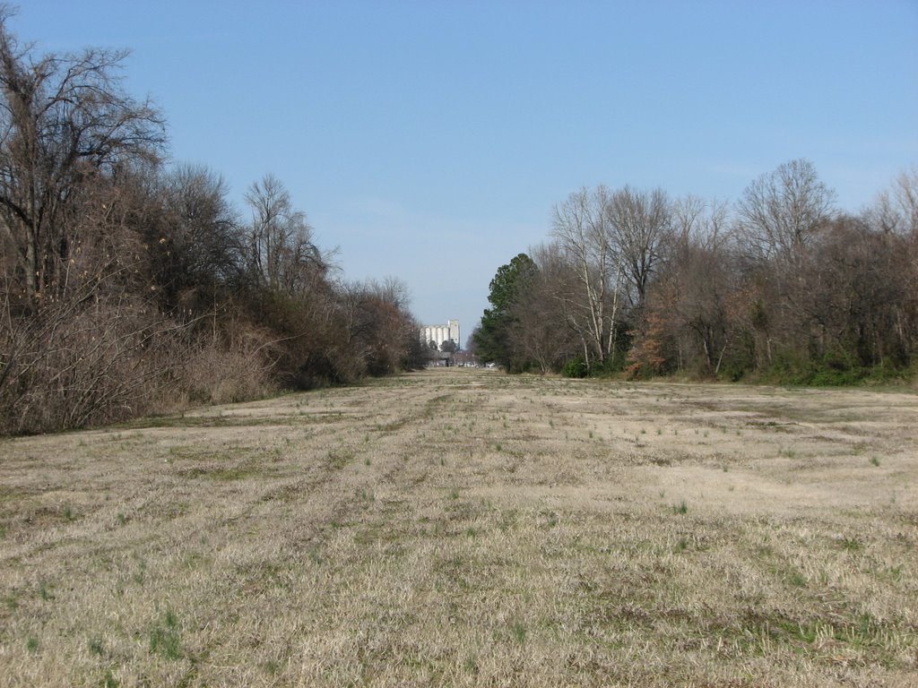 Grassy Right of Way