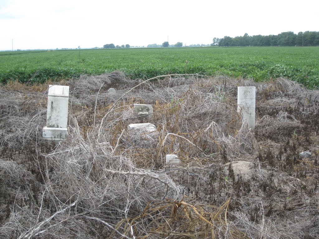 Williams Family Cemetery
