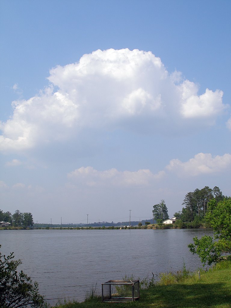 Lake Flora @ Dalewood