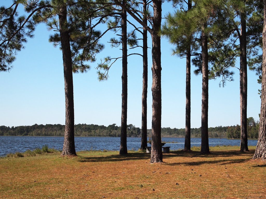 Little Black Creek Water Park (10/2012)