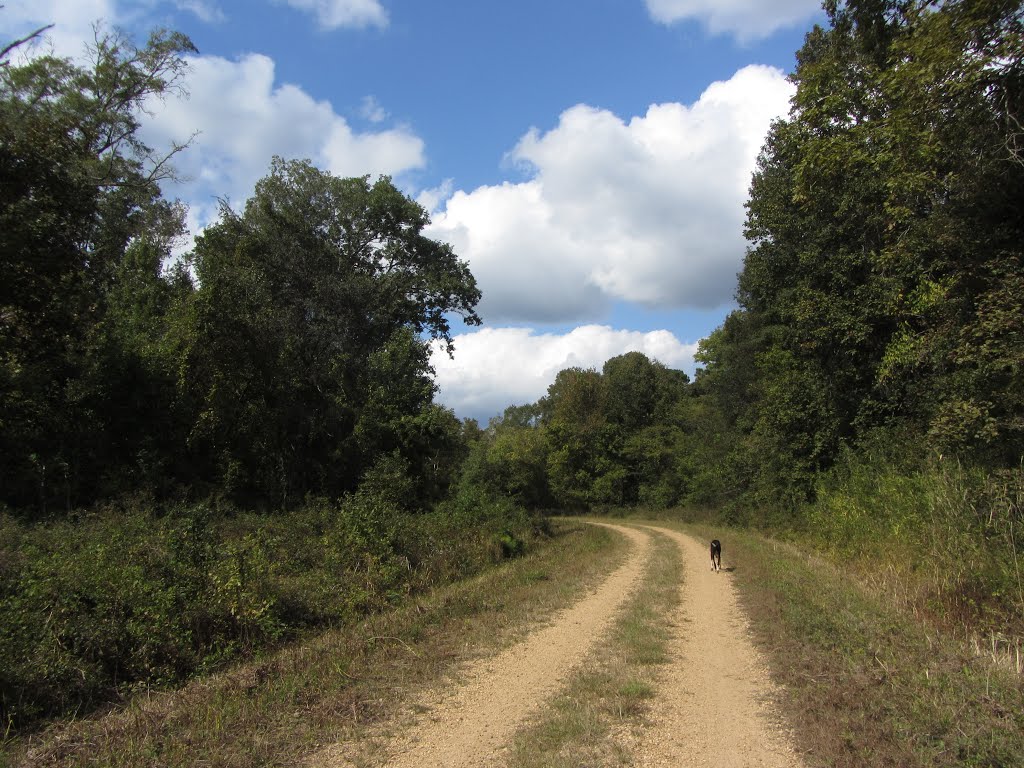 Noxubee River Road