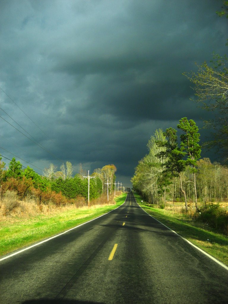 tank road facing east in south hinds county, mississippi