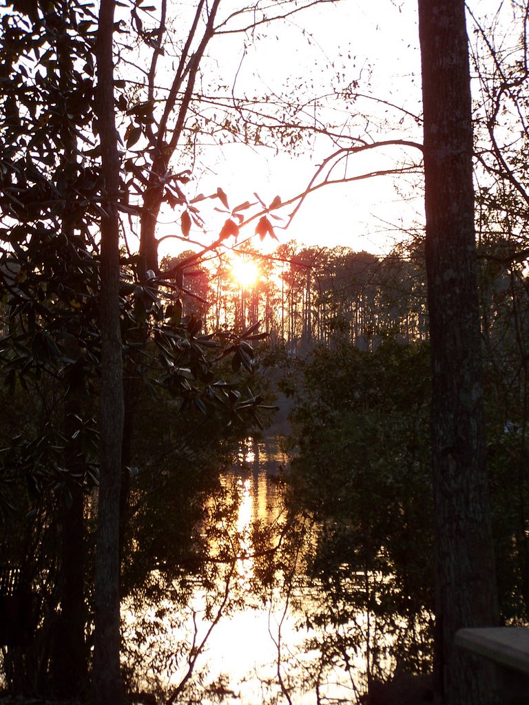 sunset in wiggins mississippi