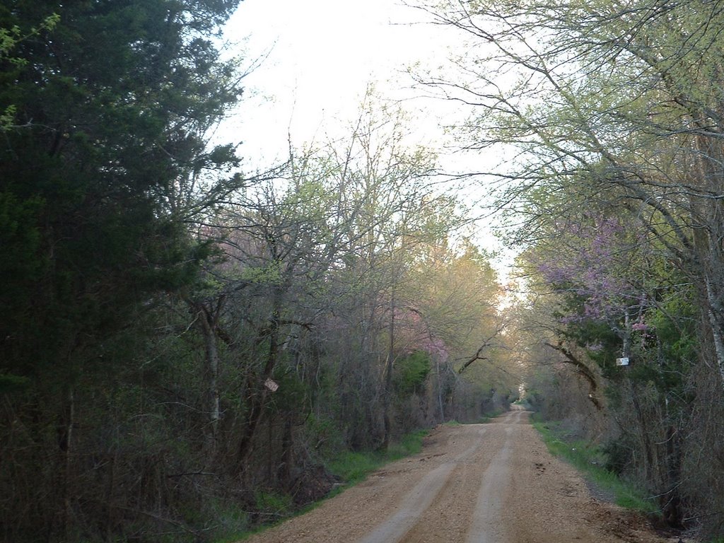 near Starkville