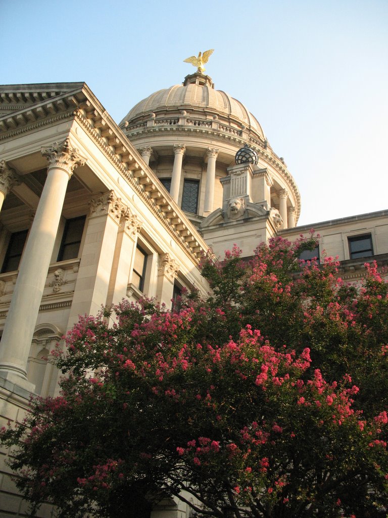 Mississippi Capitol from below