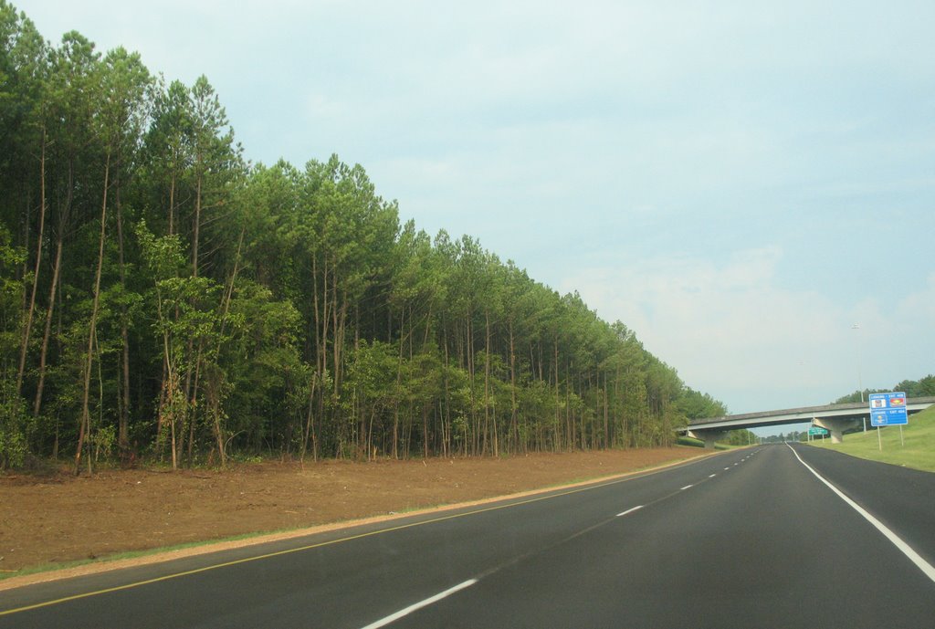 Tree-lined 20