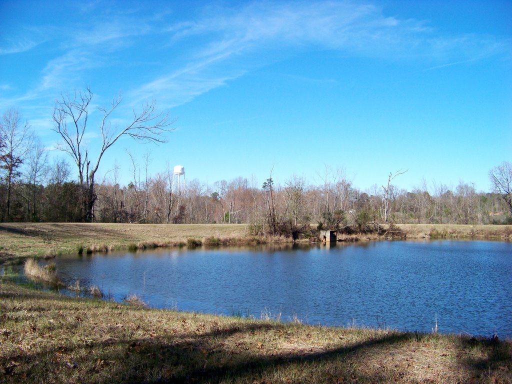 Pond