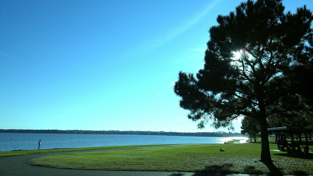 A nice day in Old Trace Park, 里奇兰密西西比州 39157 USA
