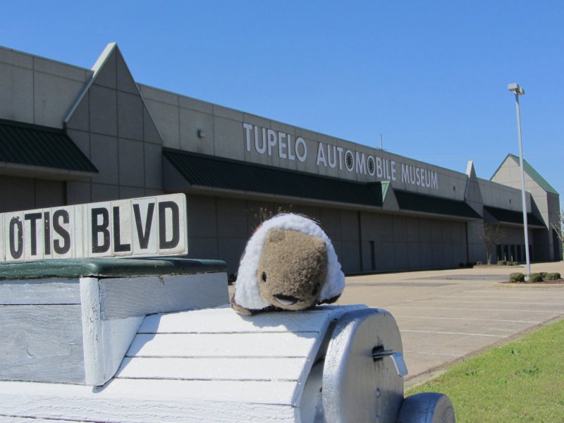 Willy Wombat visits the automobile museum in Tupelo, MS.