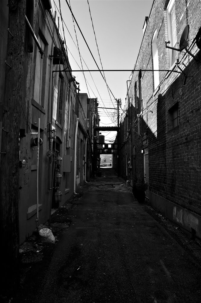 Tupelo Alley B/W