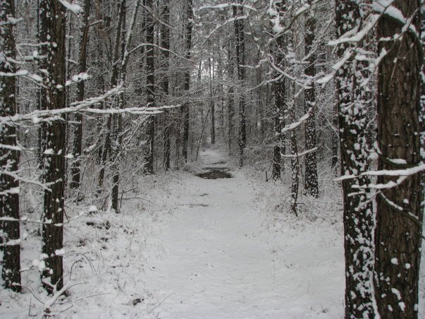 Snow in Mississippi