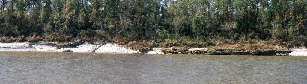 Tsunami layer at Moscow landing Tombigbee river